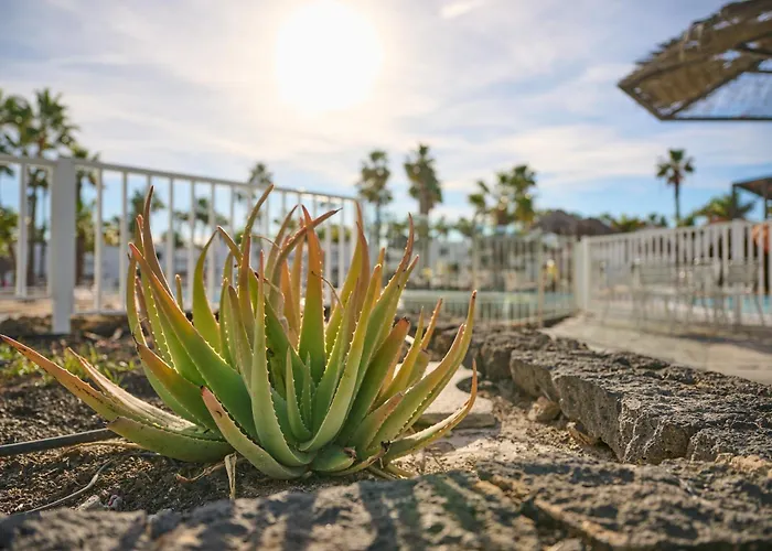 Sunny With Terrace In *