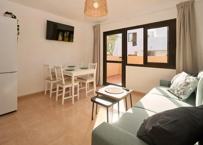 Sunny With Terrace In Apartment